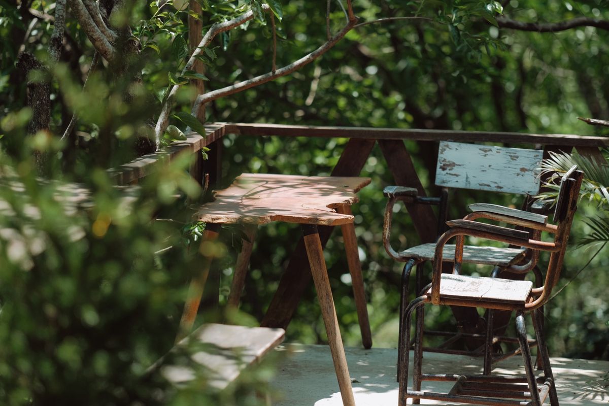 Terrasse en bois entourée de verdure